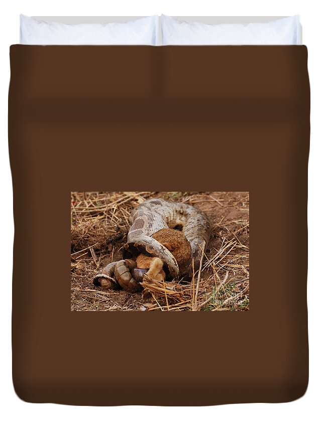 Serpent Duvet Cover featuring the photograph Entrapped by Fotosas Photography