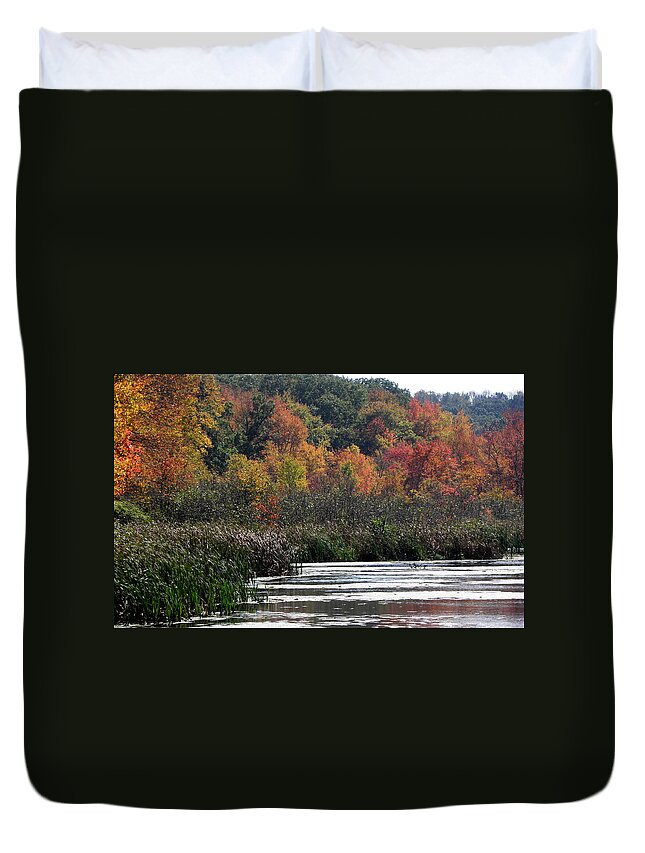 Swamp Duvet Cover featuring the photograph Even Swamps Have Beauty by Kim Galluzzo Wozniak