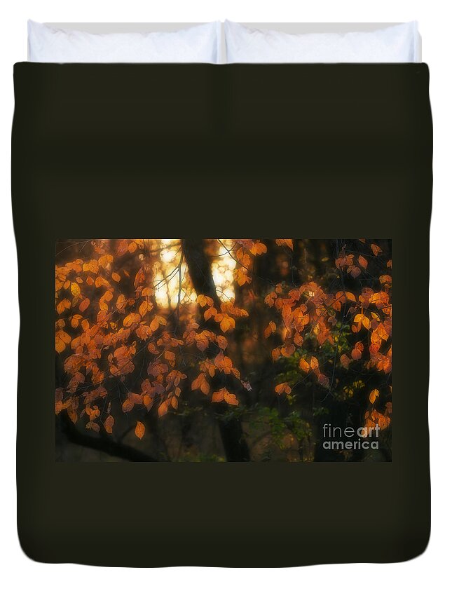 Fall Colours Duvet Cover featuring the photograph Fall Colours by Art Whitton