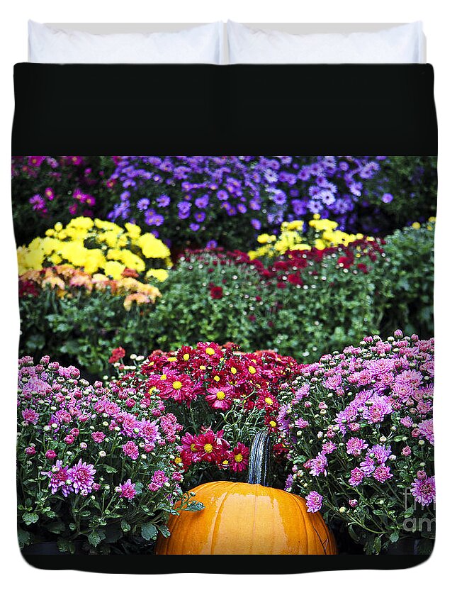 Mums Duvet Cover featuring the photograph Fall Fireworks by Brenda Giasson