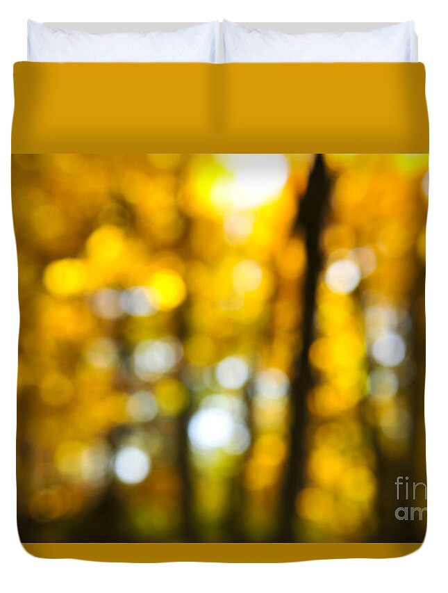 Nature Duvet Cover featuring the photograph Fall forest in sunshine 1 by Elena Elisseeva