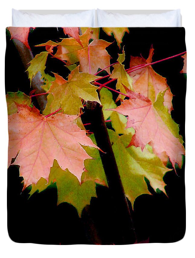 Leaf Duvet Cover featuring the photograph Fall Grandeur by Rory Siegel