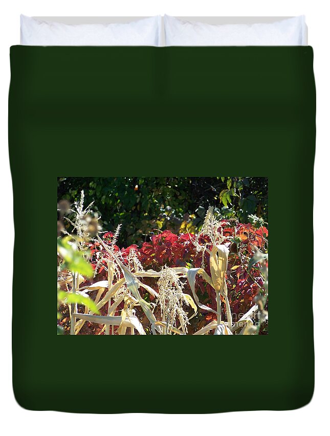 Fall Colors Duvet Cover featuring the photograph Fall Harvest of Color by Dorrene BrownButterfield