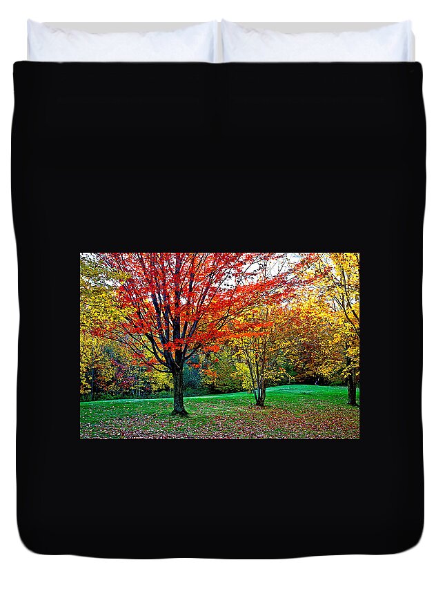 Fall Duvet Cover featuring the photograph Fall Partnership by Burney Lieberman