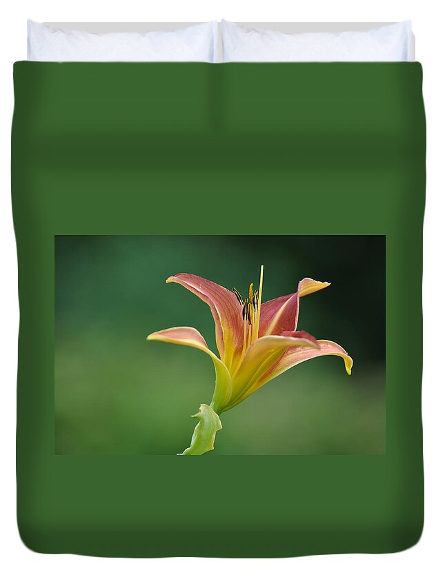 Crocosmia Duvet Cover featuring the photograph Falling Stars by Rob Hemphill