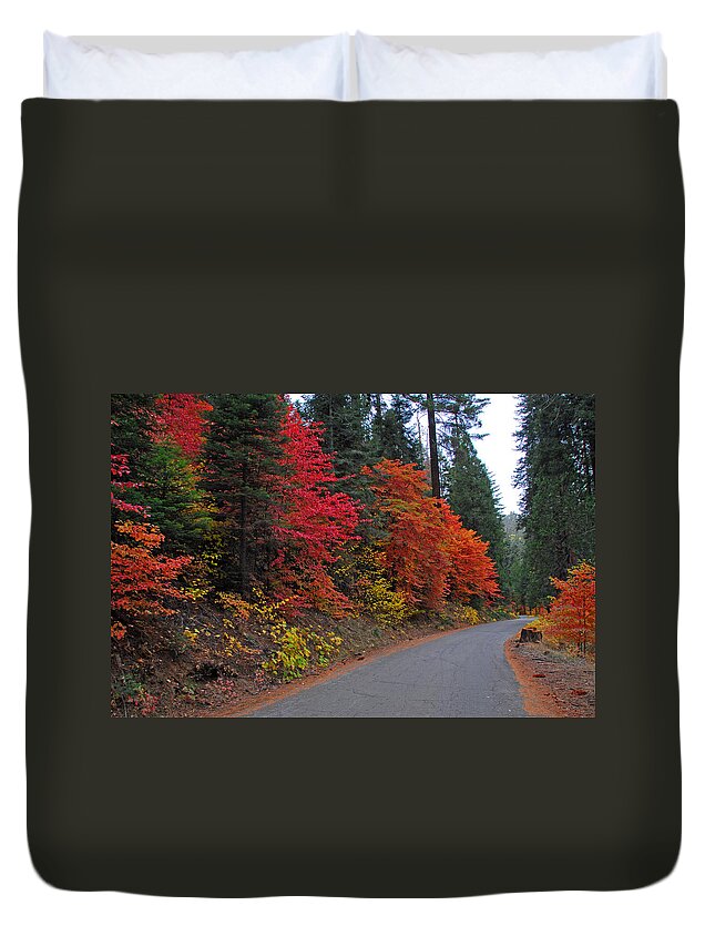 Sequoia National Park Duvet Cover featuring the photograph Fall's Splendor by Lynn Bauer