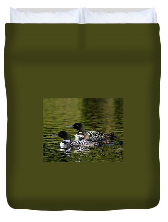 Loons Duvet Cover featuring the photograph Family Swim by Steven Clipperton