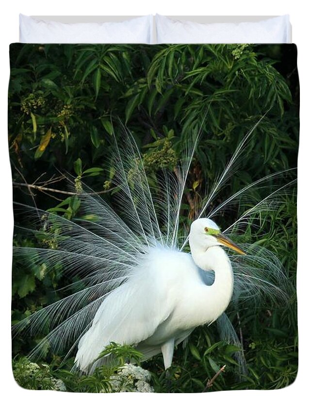 Great White Egret Duvet Cover featuring the photograph Fancy Feathers by Sabrina L Ryan