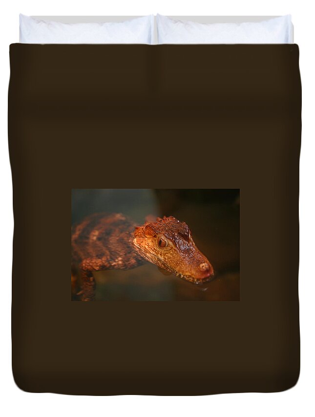 Zoo Duvet Cover featuring the photograph Fangs by David Rucker