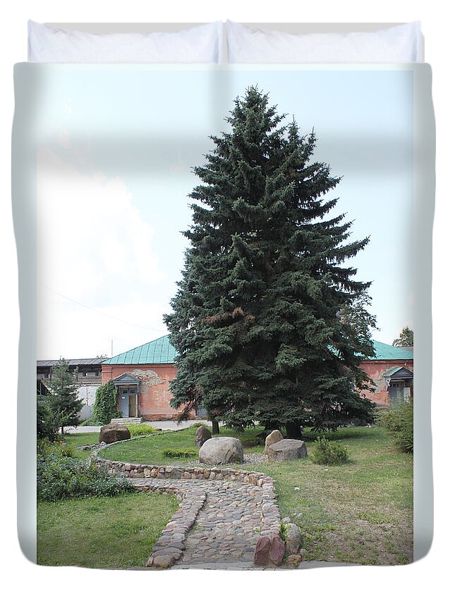 Stone Duvet Cover featuring the photograph Fir and stones by Evgeny Pisarev