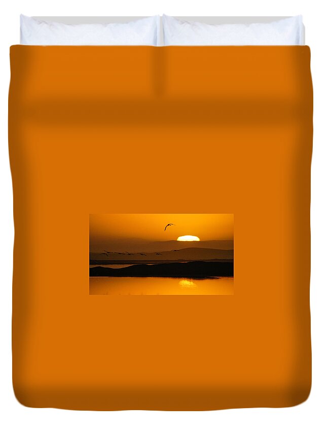 Africa Duvet Cover featuring the photograph Firstlight flight by Alistair Lyne