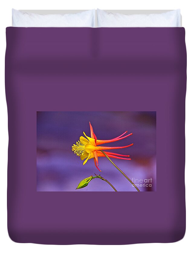 Flight Of Fancy Duvet Cover featuring the photograph Flight Of Fancy by Byron Varvarigos