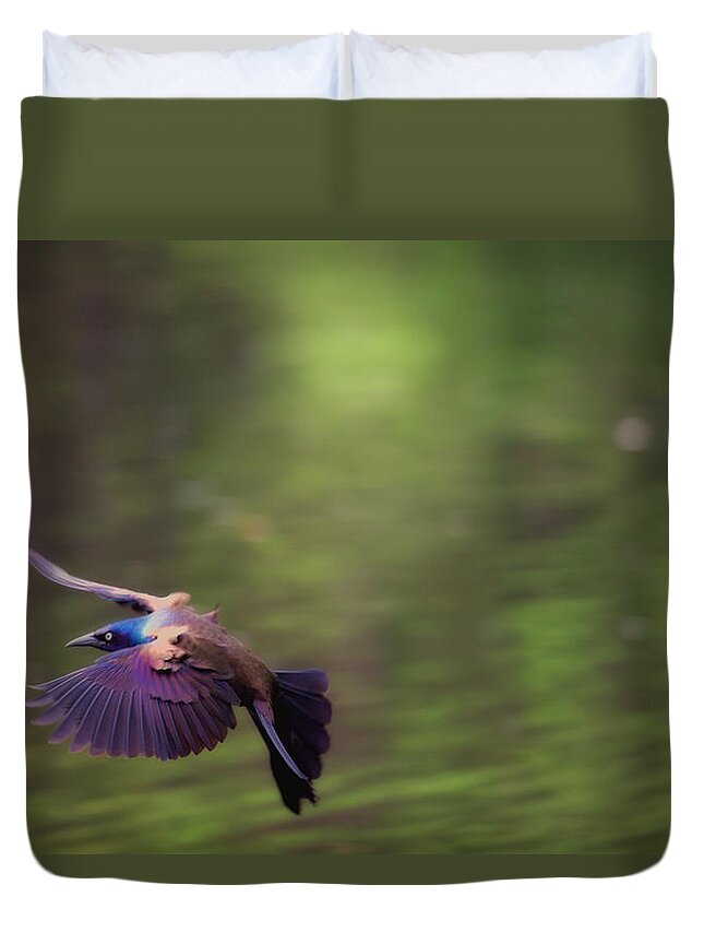 Bird Duvet Cover featuring the photograph Flight of the Grackle by Karol Livote