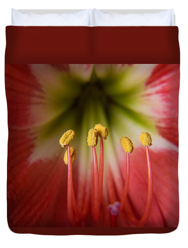 Bangalore Duvet Cover featuring the photograph Flower by SAURAVphoto Online Store