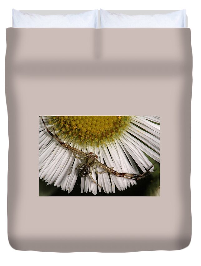 Nature Duvet Cover featuring the photograph Flower Spider On Fleabane by Daniel Reed