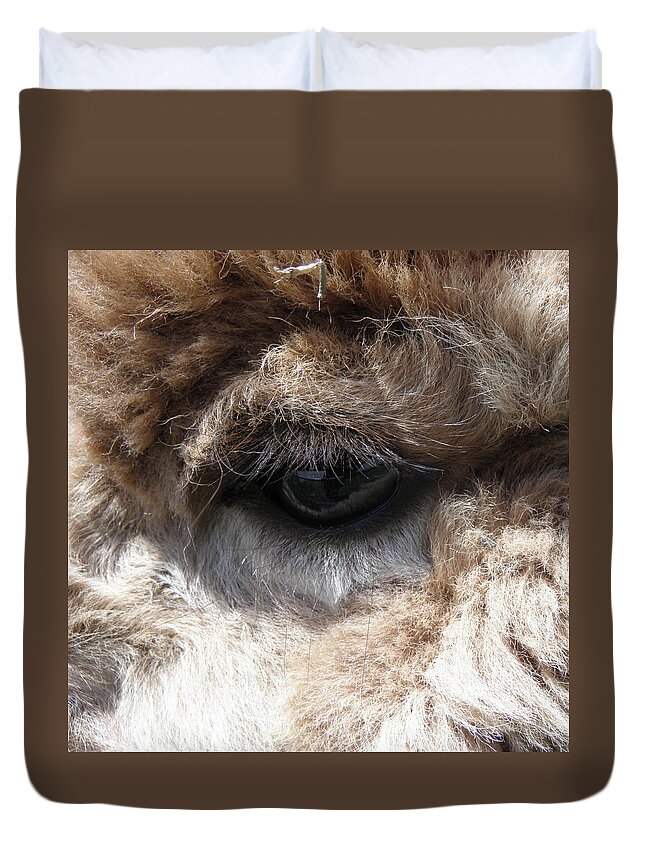 Alpaca Duvet Cover featuring the photograph Fluffy Eyes by Kim Galluzzo