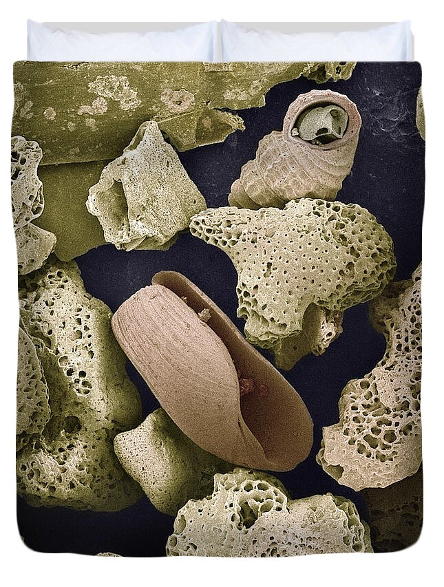 Mp Duvet Cover featuring the photograph Foraminiferans Molluscs and Bryozoans SEM by Albert Lleal