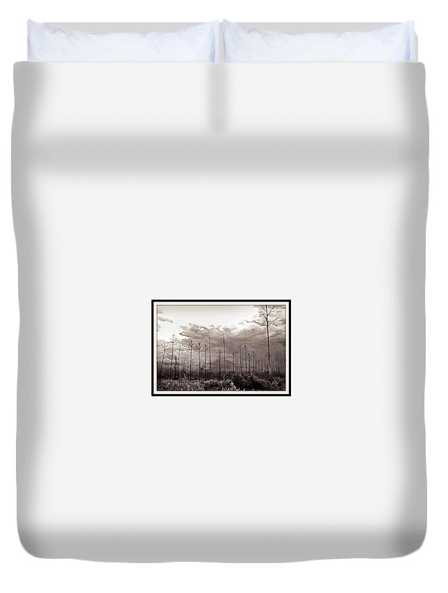 Tree Duvet Cover featuring the photograph Forest Regrowth by Farol Tomson