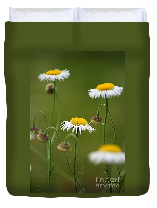 Daisy Duvet Cover featuring the photograph Four Sisters by Julie Lueders 