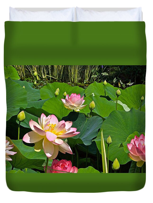 Lotuses Duvet Cover featuring the photograph Fourth Of July Lotus Pond view C by Byron Varvarigos