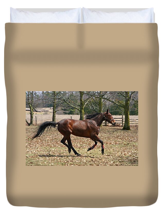 Horses Duvet Cover featuring the photograph Free Spirit by Davandra Cribbie