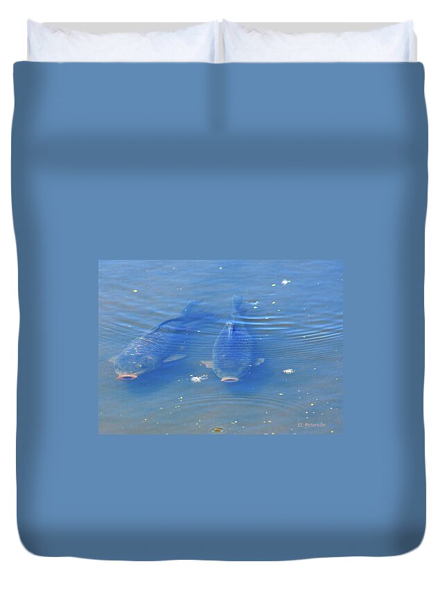 Fish Duvet Cover featuring the photograph Friends Forever by Ed Peterson