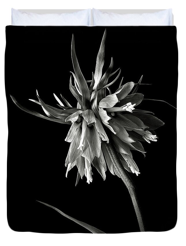 Flower Duvet Cover featuring the photograph Frittilaria in Black and White by Endre Balogh