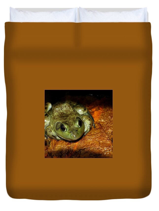 Usa Duvet Cover featuring the photograph Frog Love by LeeAnn McLaneGoetz McLaneGoetzStudioLLCcom