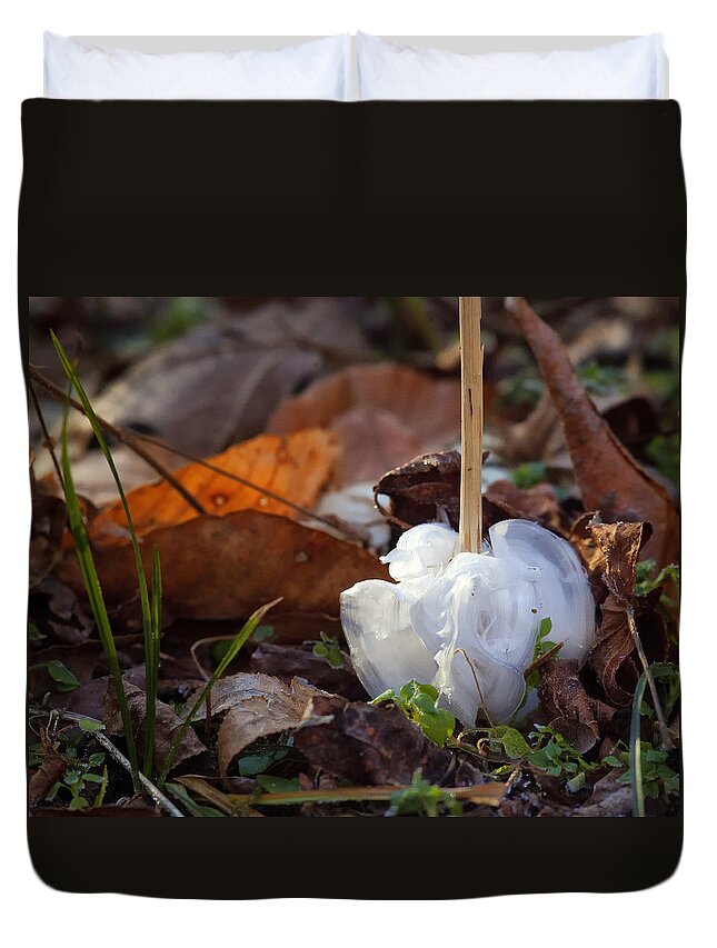 Frost Blossom Duvet Cover featuring the photograph Frost Blossom Lost Valley by Michael Dougherty