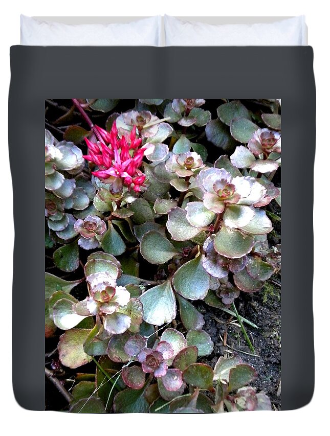 Flowers Duvet Cover featuring the painting Garden Sedum by Renate Wesley