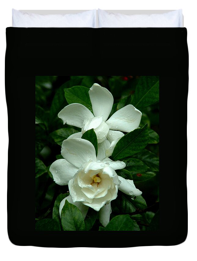 Flowers Duvet Cover featuring the photograph Gardenias by Peggy Urban