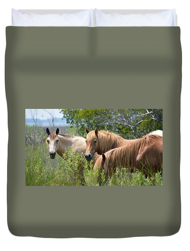 Animal Duvet Cover featuring the photograph Gazing Ponies by Billy Beck