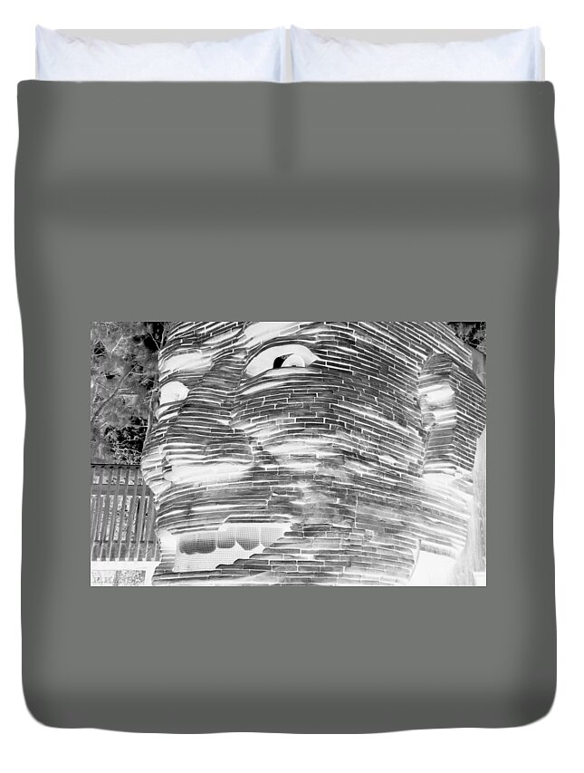 Architecture Duvet Cover featuring the photograph GENTLE GIANT in NEGATIVE BLACK AND WHITE by Rob Hans