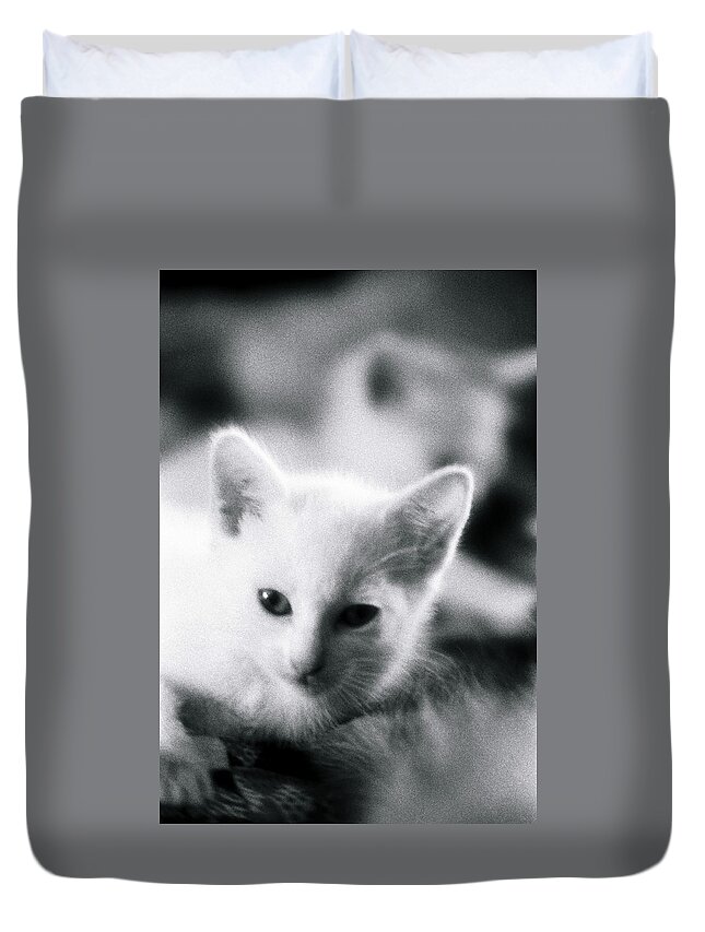 Cat Duvet Cover featuring the photograph Ghost Kitties by Rory Siegel