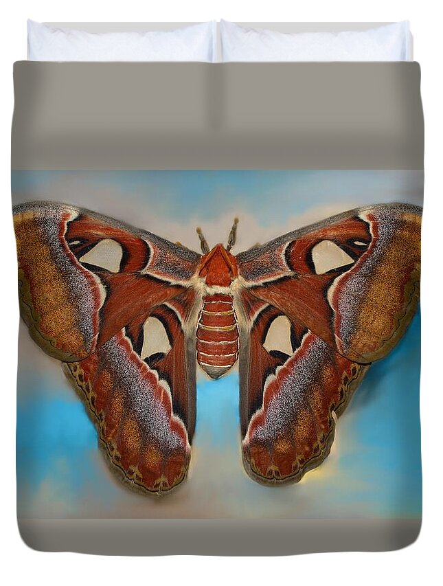Antenna Duvet Cover featuring the photograph Giant Silk Moth by Billy Beck