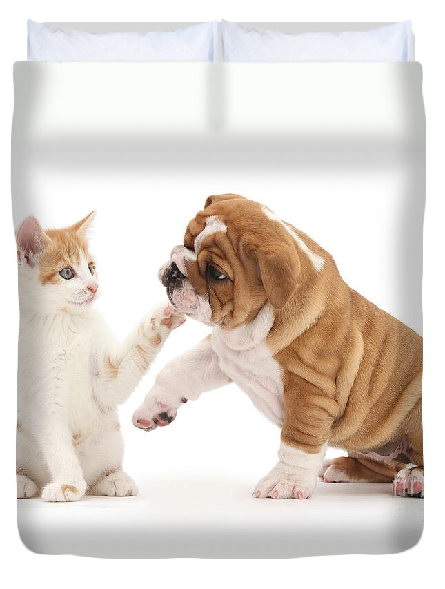 Animal Duvet Cover featuring the photograph Ginger Kitten With Bulldog Pup by Mark Taylor