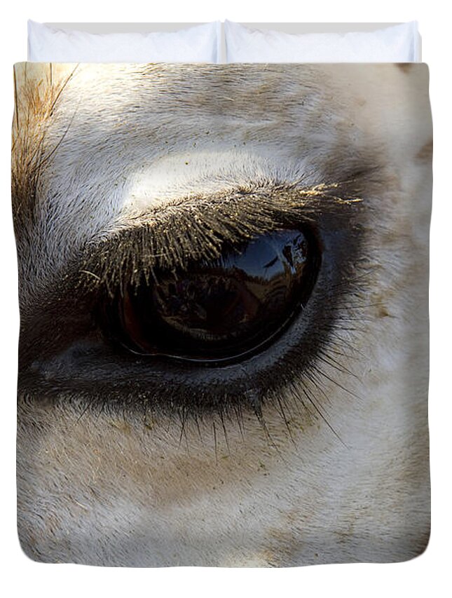 Giraffe Duvet Cover featuring the photograph Giraffe eye by Carrie Cranwill