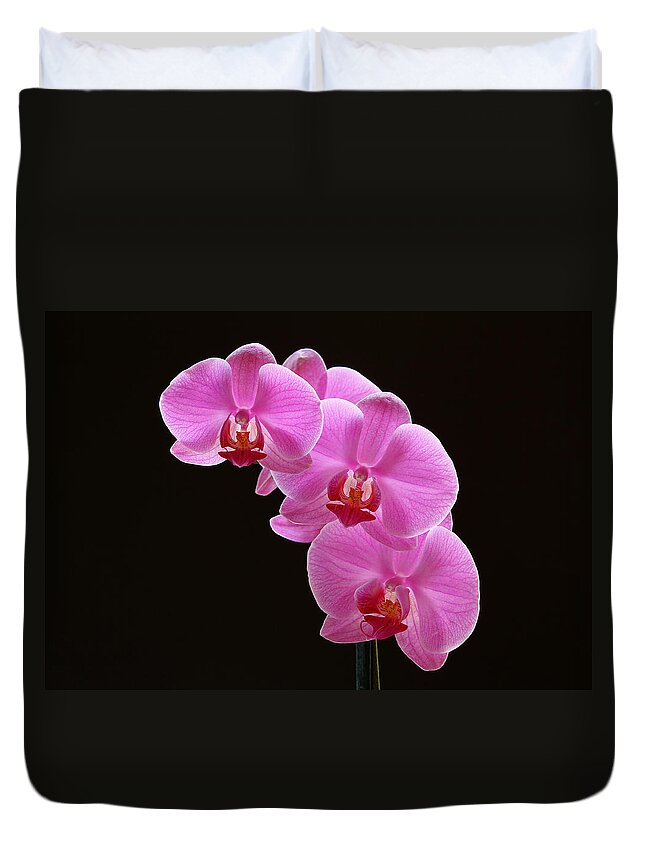 Orchid Duvet Cover featuring the photograph Glorious Pink Orchids by Juergen Roth
