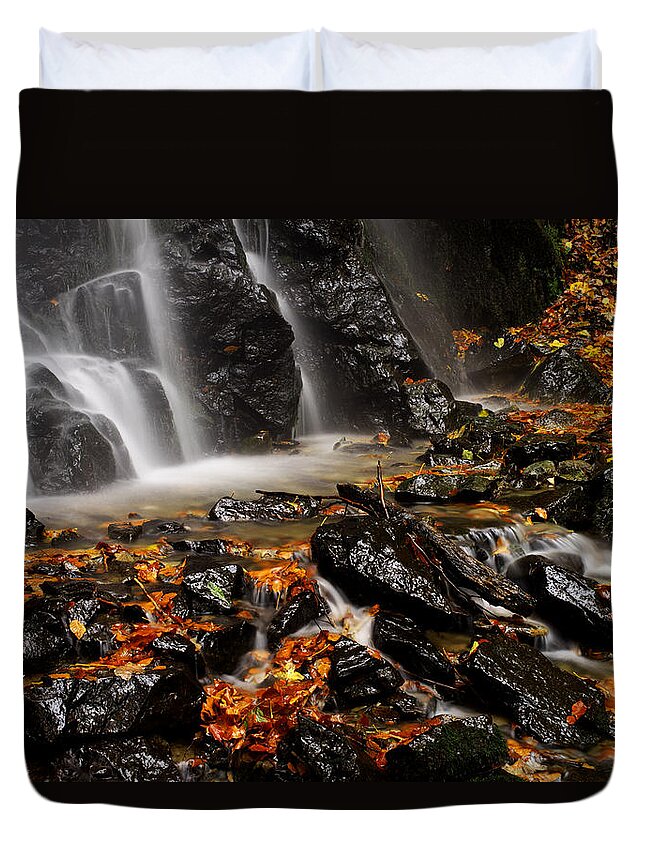 Beauty Duvet Cover featuring the photograph Glowing by Ivan Slosar