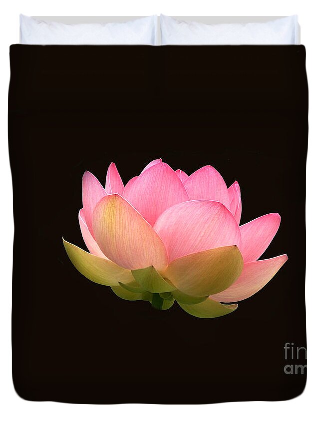 Lotus Flower On Black Duvet Cover featuring the photograph Glowing Lotus Flower On Black by Byron Varvarigos