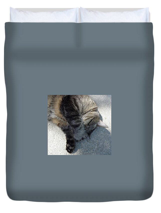Cat Duvet Cover featuring the photograph Go Away by Kim Galluzzo Wozniak