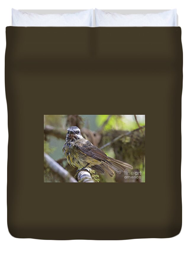 Myiodynastes Chrysocephalus Duvet Cover featuring the photograph Golden--crowned Flycatcher by Jean-Luc Baron