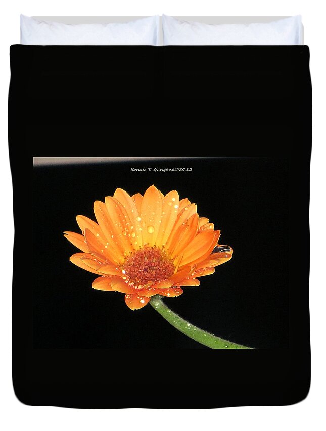 Orange Gerbera Duvet Cover featuring the photograph Golden droplets by Sonali Gangane