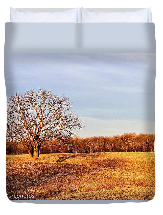 Golden Hour Tree And Shadows Duvet Cover featuring the photograph Golden Hour shadows by Rachel Cohen