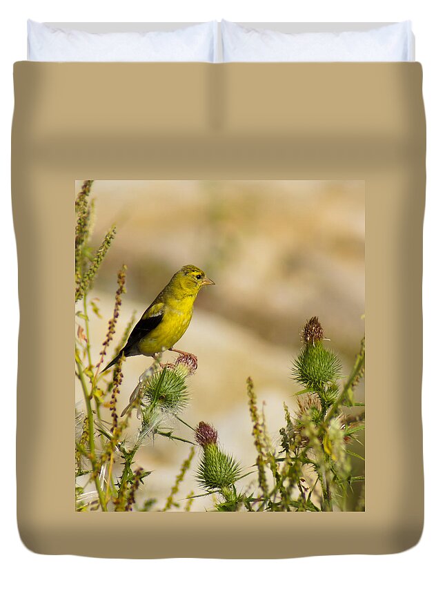 Bird Duvet Cover featuring the photograph Goldfinch on Lookout by Bill Pevlor