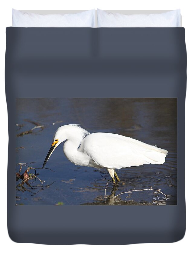 Snowy Egret Duvet Cover featuring the photograph Gone Fishing by Amy Gallagher