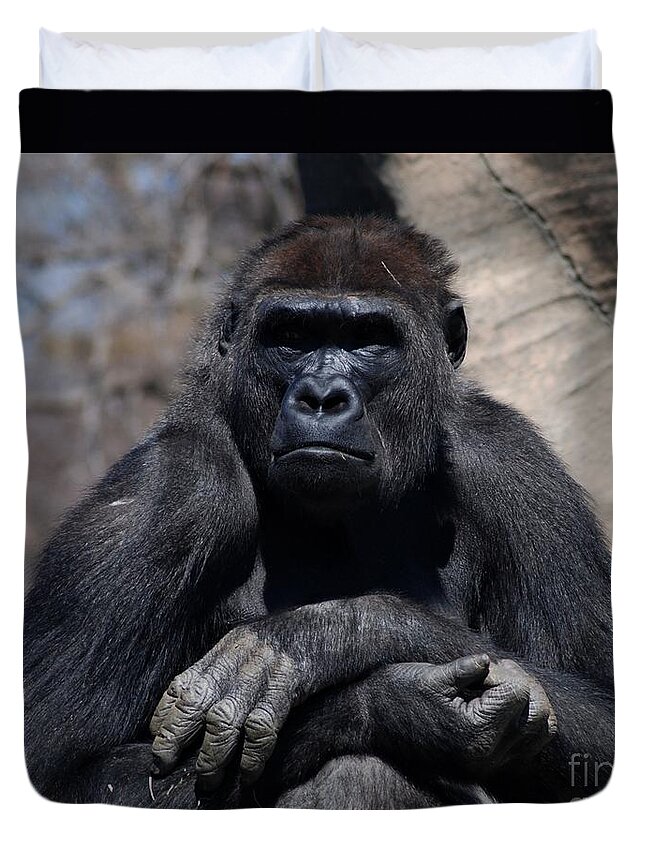 Gorilla Duvet Cover featuring the photograph Gorilla by Ronald Grogan