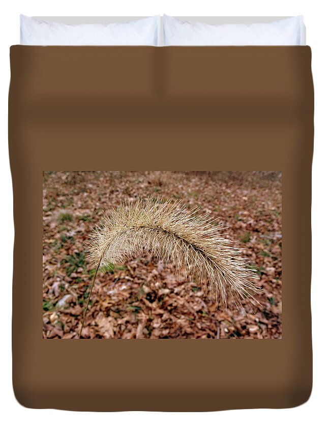 Grassy Duvet Cover featuring the photograph Grass Fuzzy by Kim Galluzzo Wozniak