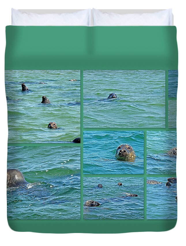 Seals Duvet Cover featuring the photograph Gray Seals at Chatham - Cape Cod by Carol Senske