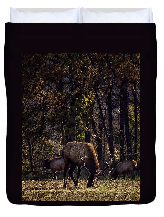 Grazing Duvet Cover featuring the photograph Grazing at Sunrise by Michael Dougherty